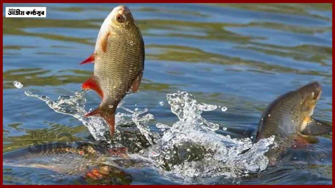 গোবিন্দগঞ্জে জাতীয় মৎস্য সপ্তাহের উদ্বোধন