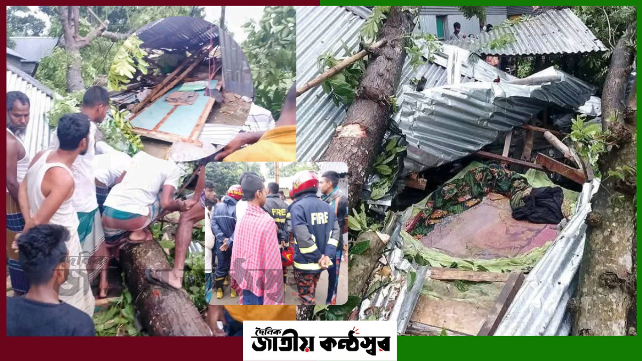 কালবৈশাখী ঝড়ে নয়ানগরে মর্মান্তিক মৃত্যু, মা ও দুই মেয়ের প্রাণহানি