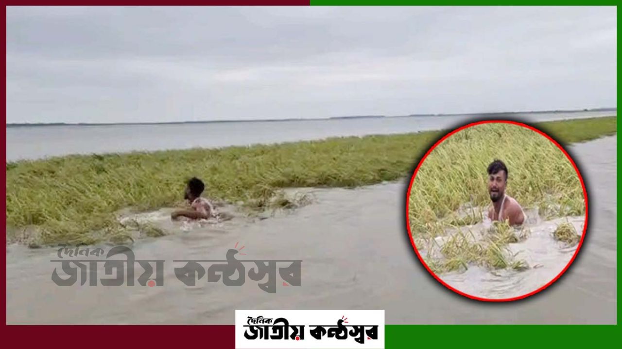 পানিতে তলিয়ে গেল স্বপ্নের ফসল: নেত্রকোনার হাওরে কৃষকের আহাজারি