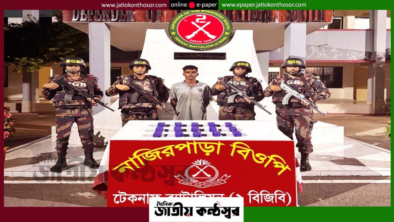 টেকনাফে মাছভর্তি ব্যাগে ৩০ হাজার ইয়াবা, বিজিবির অভিযানে আটক ১