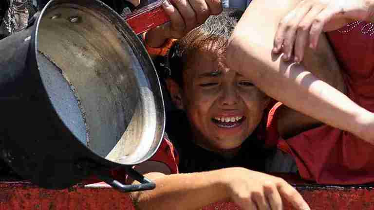 গাজায় নিহত আরও ৮০ ফিলিস্তিনি, অনাহারে ১৪ জনের মৃত্যু